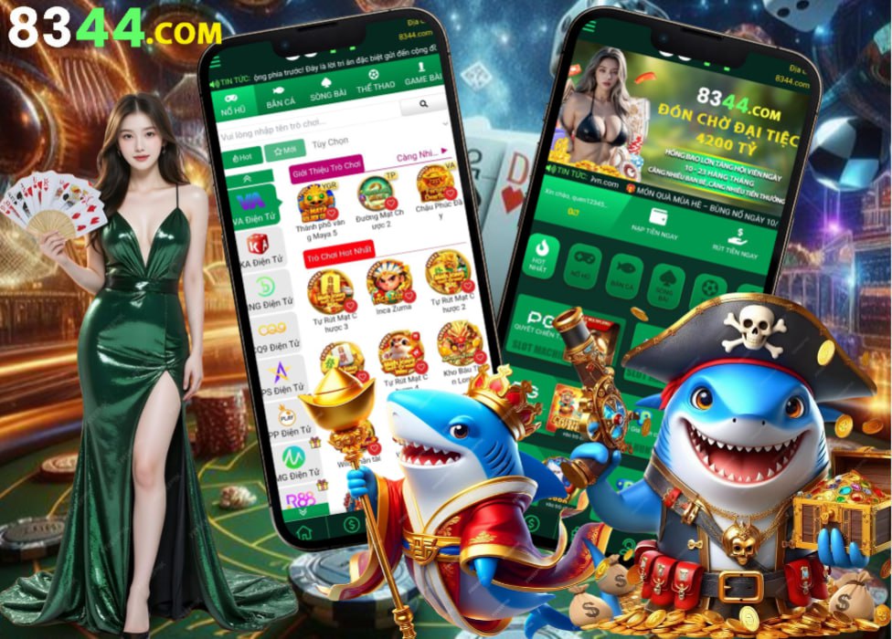 vtcpay