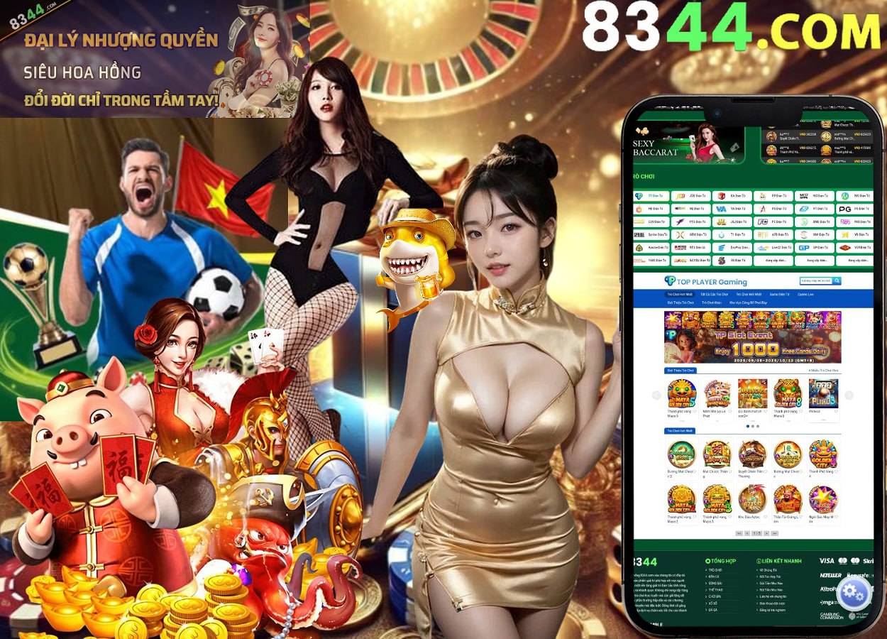 vtcpay